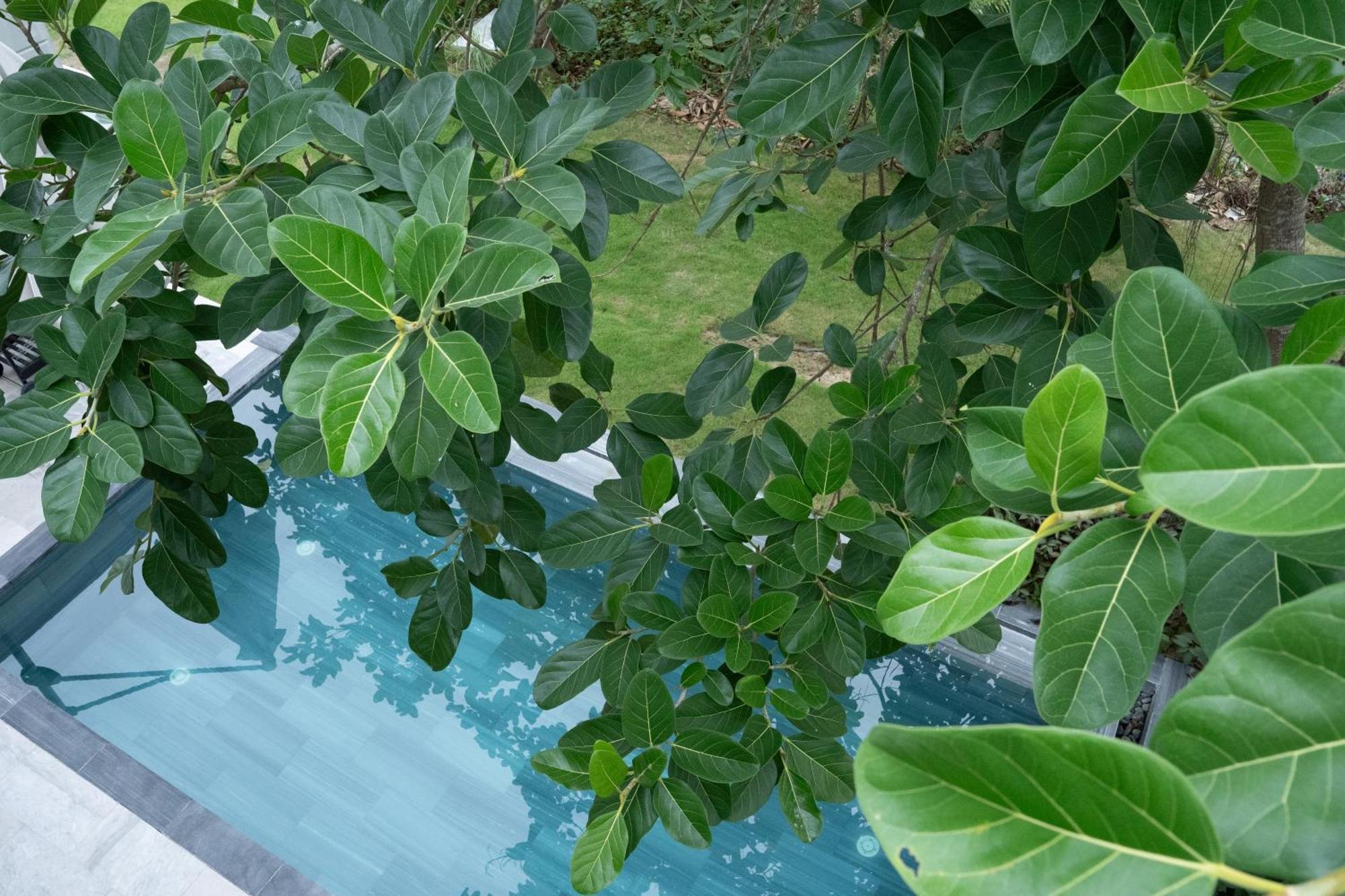 "Brg Golf Club" - Danang Private Pool Villa 3 Bedrooms #3 Exterior foto